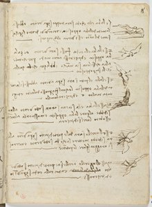 Birds Flight Code, Sheet 8 Recto